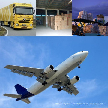 Expédition de fret aérien / transport aérien vers Lagos Nigeria